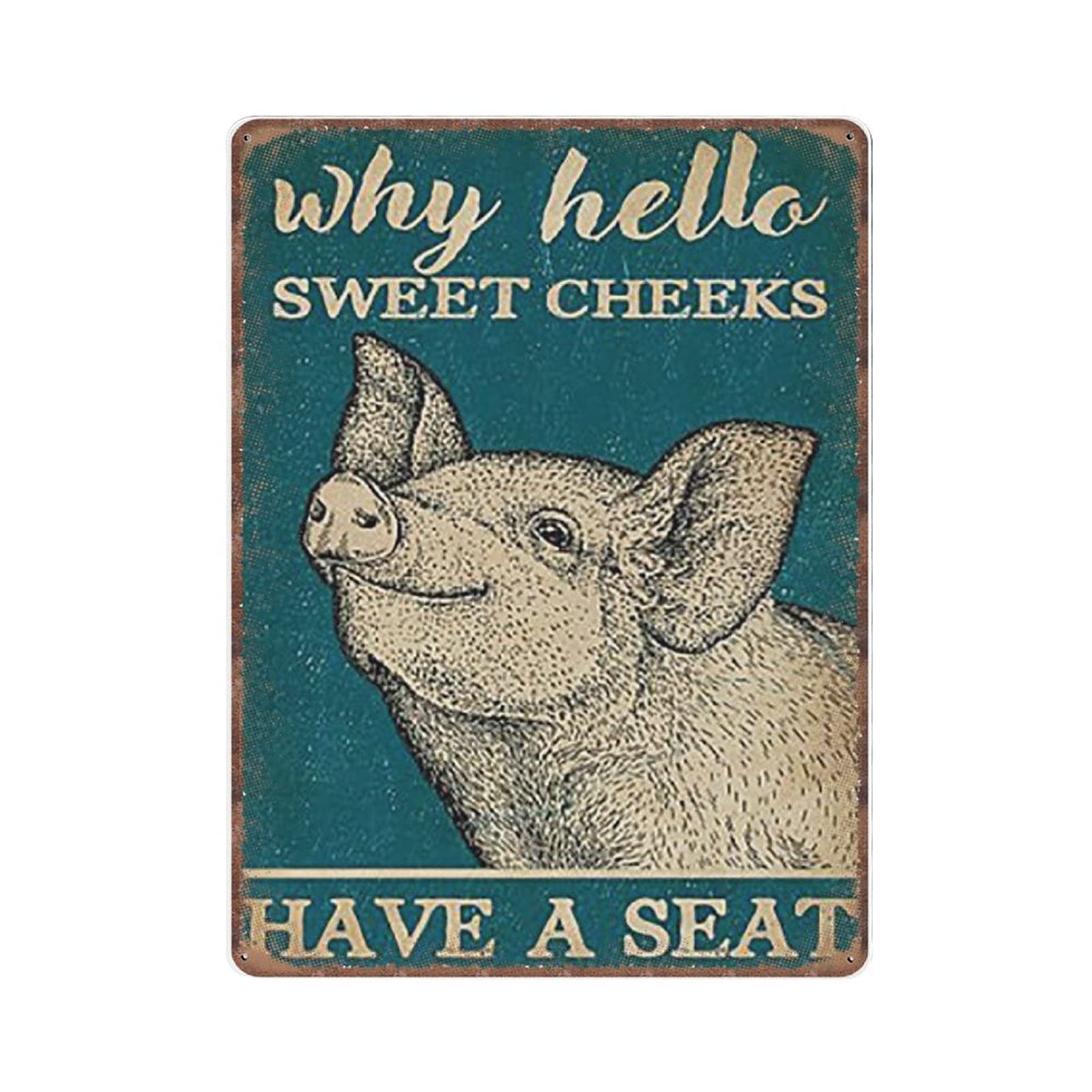 rayprint Why Hello Sweet Cheeks Pig Tin Signs Funny Vintage Metal Sign Plaqu Poster Wall Art Pub Bar Kitchen Garden Bathroom Home Decor, 30x40 cm