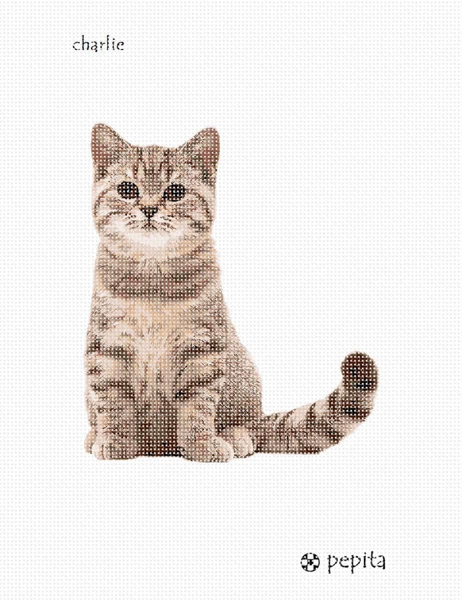 Pepita Needlepoint kit: Charlie, 7" x 9"
