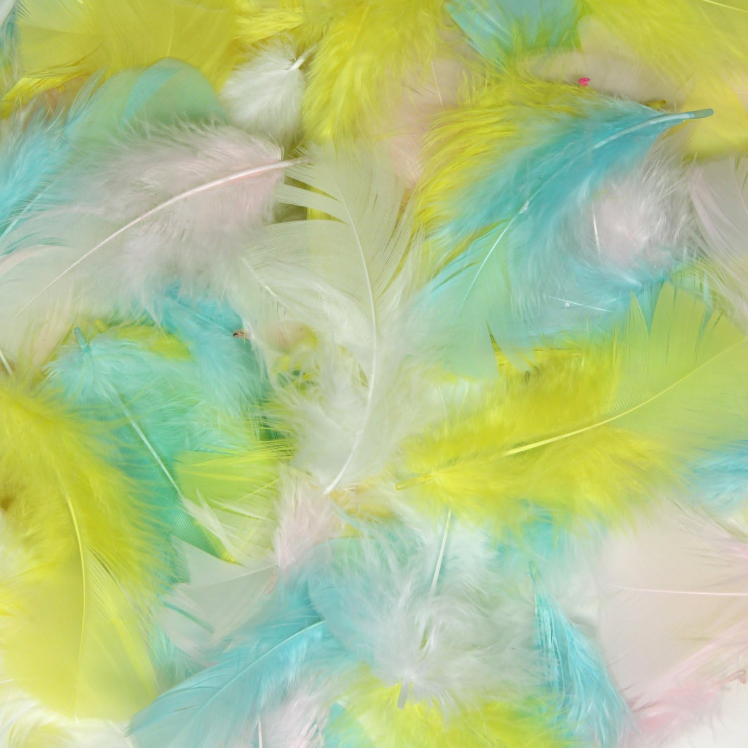 Creativity Street Turkey Plumage Feathers Spring Colors