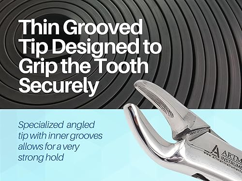 Miniatura 2 de Pinzas de extracción de dientes dentales para incisivos caninos Premolares y molares Dientes superiores e inferiores Herramientas de extracción