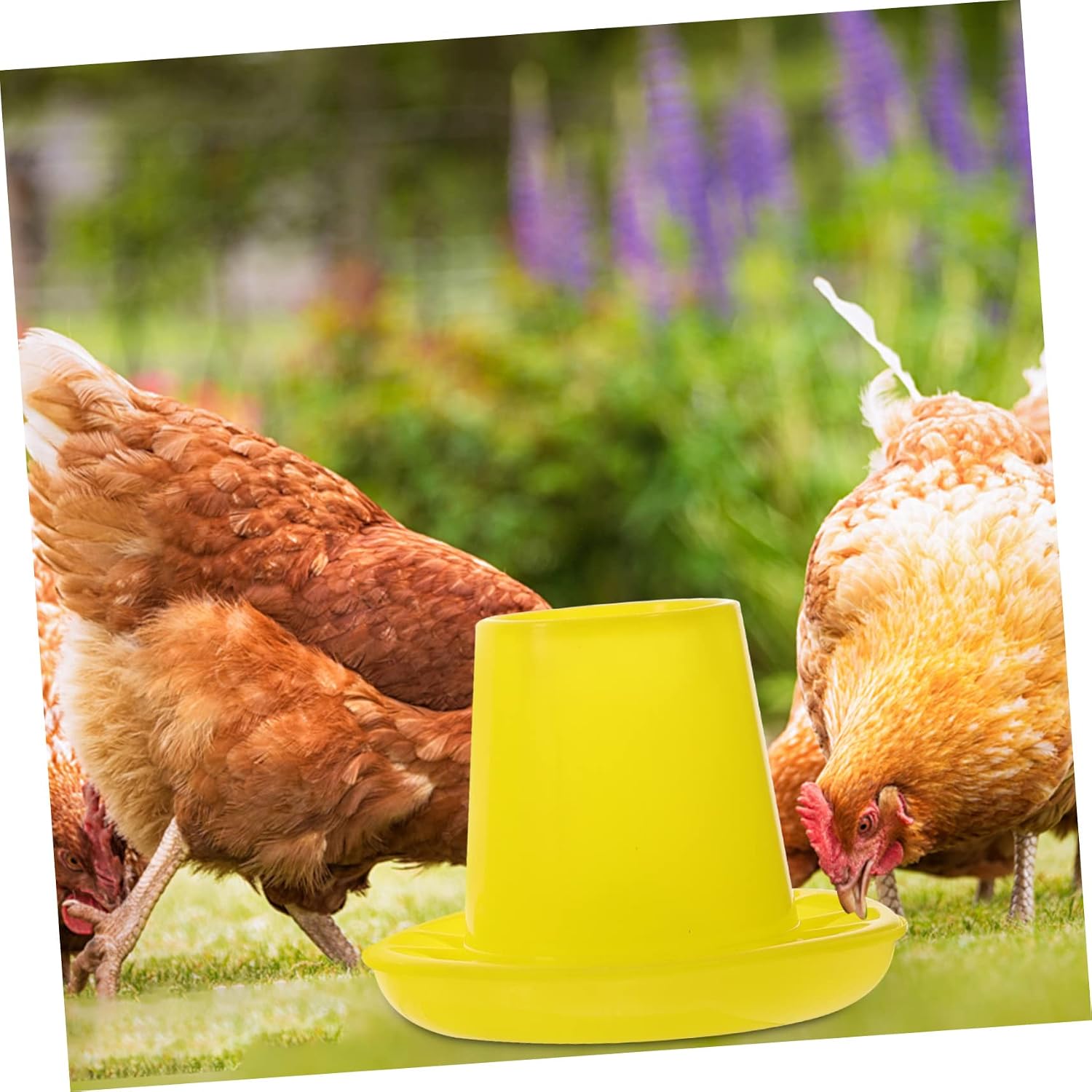 2pcs Automatic Chicken Feeding Troughs, Plastic Poultry Food Container image 5