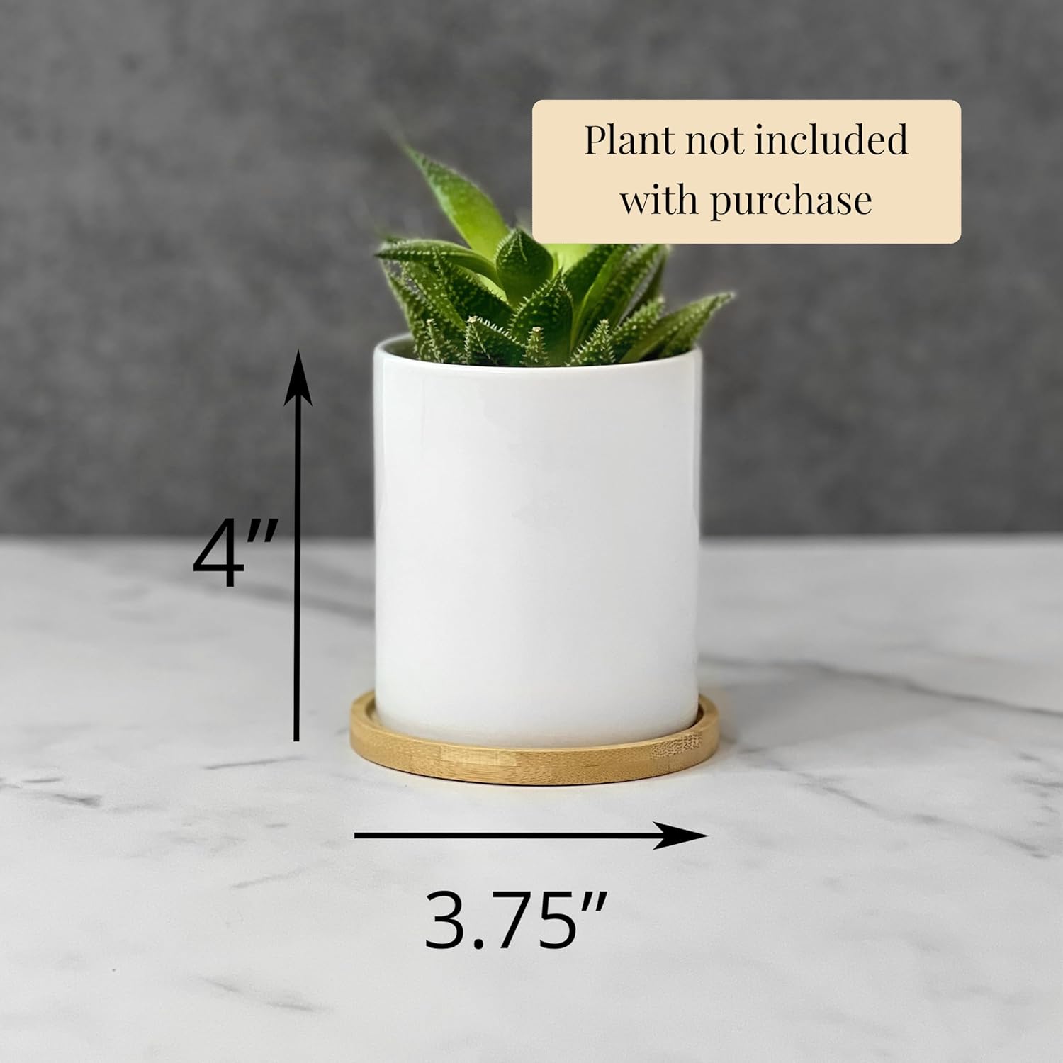 Personalized Dog Planter Pot, Yorkshire Terrier Gift for Dog Lover Cute Indoor Plant Pots for Dog Lovers, Dog Owners, Gift for Dog Mom, Present for Dog Dad Custom Small Flower Pots With Custom Text
