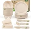 Disposable Paper Plates Set 300PCS Compostable Sugarcane Plates, Bowls, Heavy-duty Utensil, Biodegradable Napkins, Eco-friendly Dinnerware Set for Party Camping 50 People