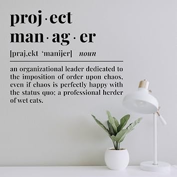 Vinyl Wall Art Decal - Project Manager Definition - 15" x 12" - Trendy Motivational Funny Quote Sticker for Work Office Living Room Home School Workplace Conference Room Decor Black