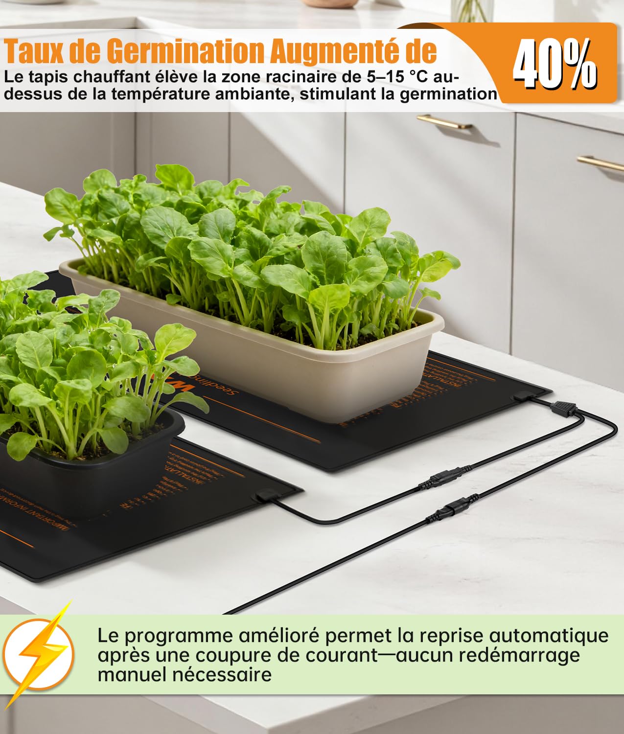 WADEO Tapis Chauffant pour Semis 50W avec Thermostat Numérique [2 Tapis, 1 Contrôleur] - Coussin Chauffant Réglable pour Germination, Boutures, Serre et Terrarium Reptile (IP67, 52x25 cm)