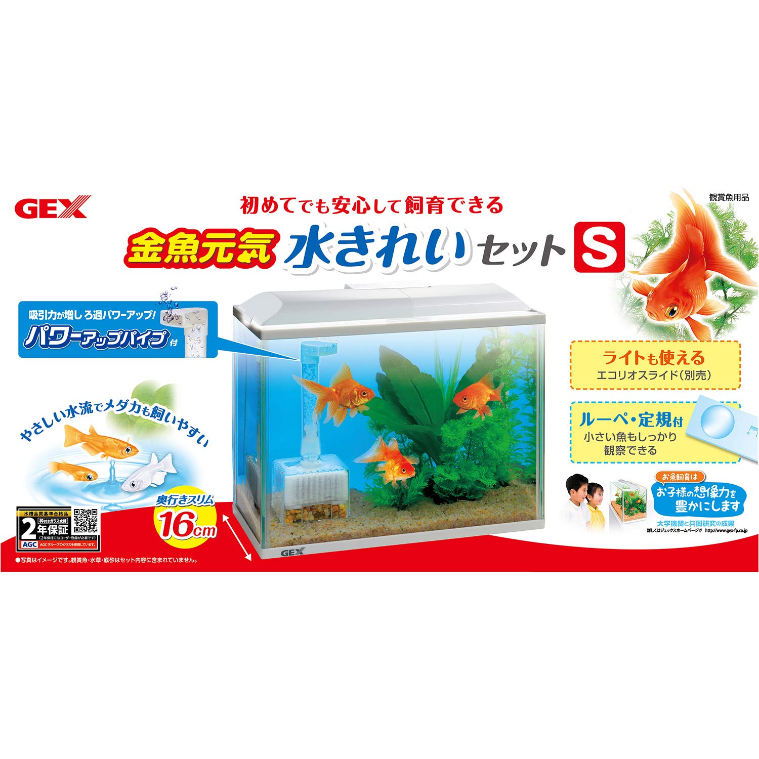 Amazon | ジェックス ガラス 金魚元気 水きれいセット S | ジェックス