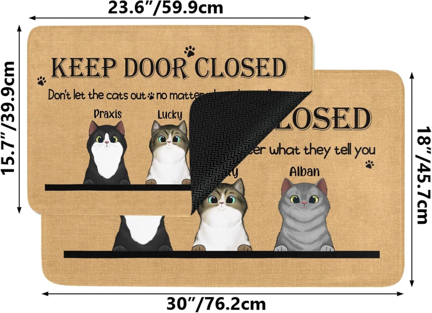Personalized Area Rug Don't Let The Cats Out 3 Doormat Floor Mat for Indoor and Outdoor Use: Suitable for Room, Kitchen, Garage,Patio, and Bathroom 30 x 18 in