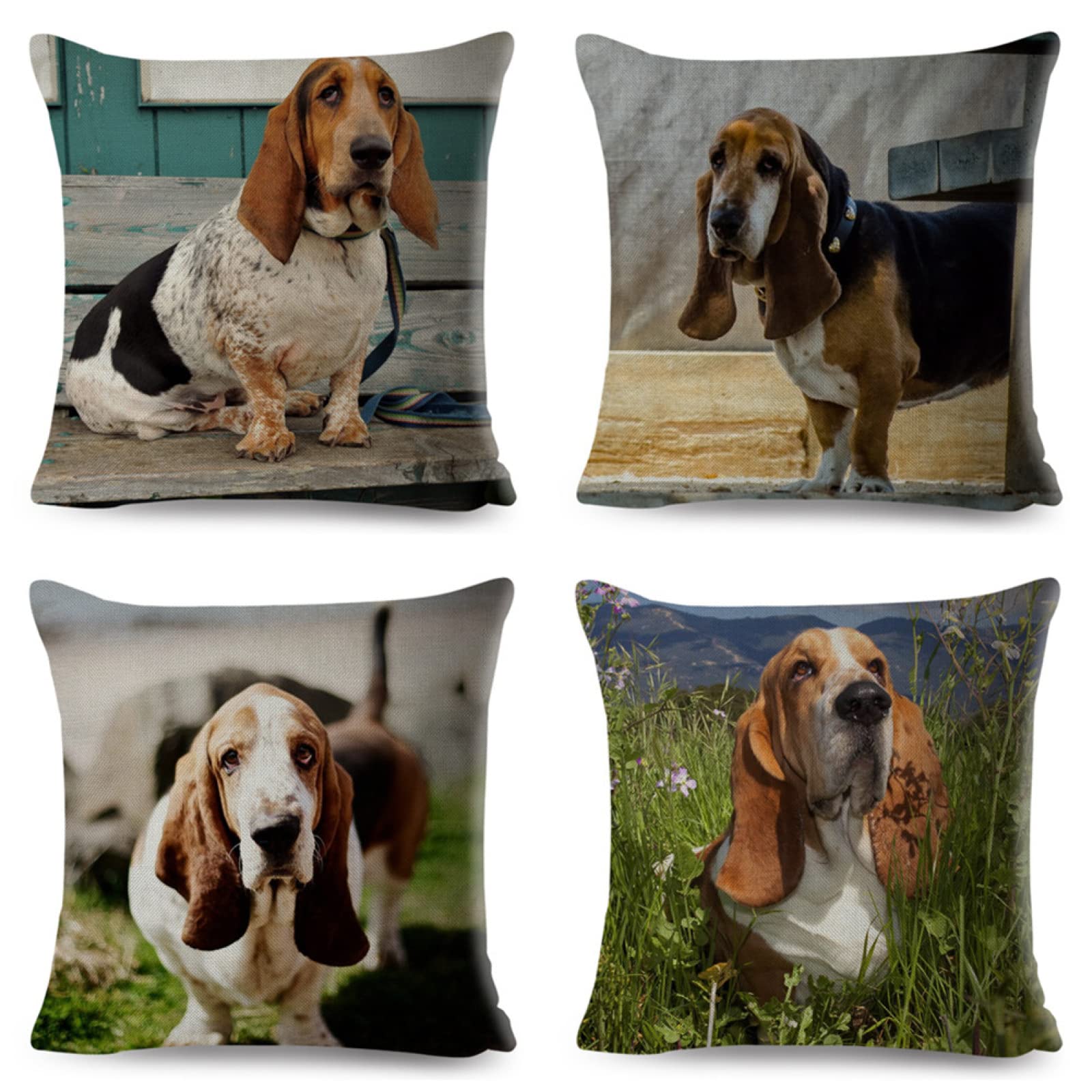 Cuscini, Cuscini Divano, Copricuscini, Fodere Cuscini, Federa Cuscino, Cuscini Decorativi, Cuscini per Divano, Cuscini Letto, Federe Cuscini Divano, Cuscino da Divano, 4 Pezzi Cane 60x60 D1712