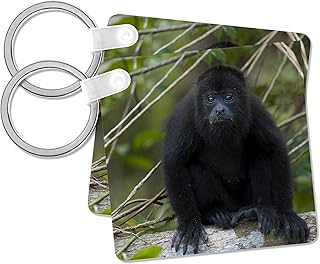 3dRose, Black Howler Monkey, Community Baboon Center, Belize - SA02 POX0025 - Pete Oxford, Key Chain