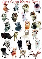 Vista 429 de Mapa de Europa