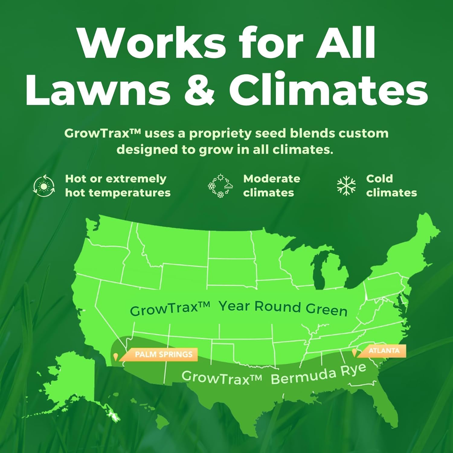 When is it the best time to plant grass seed