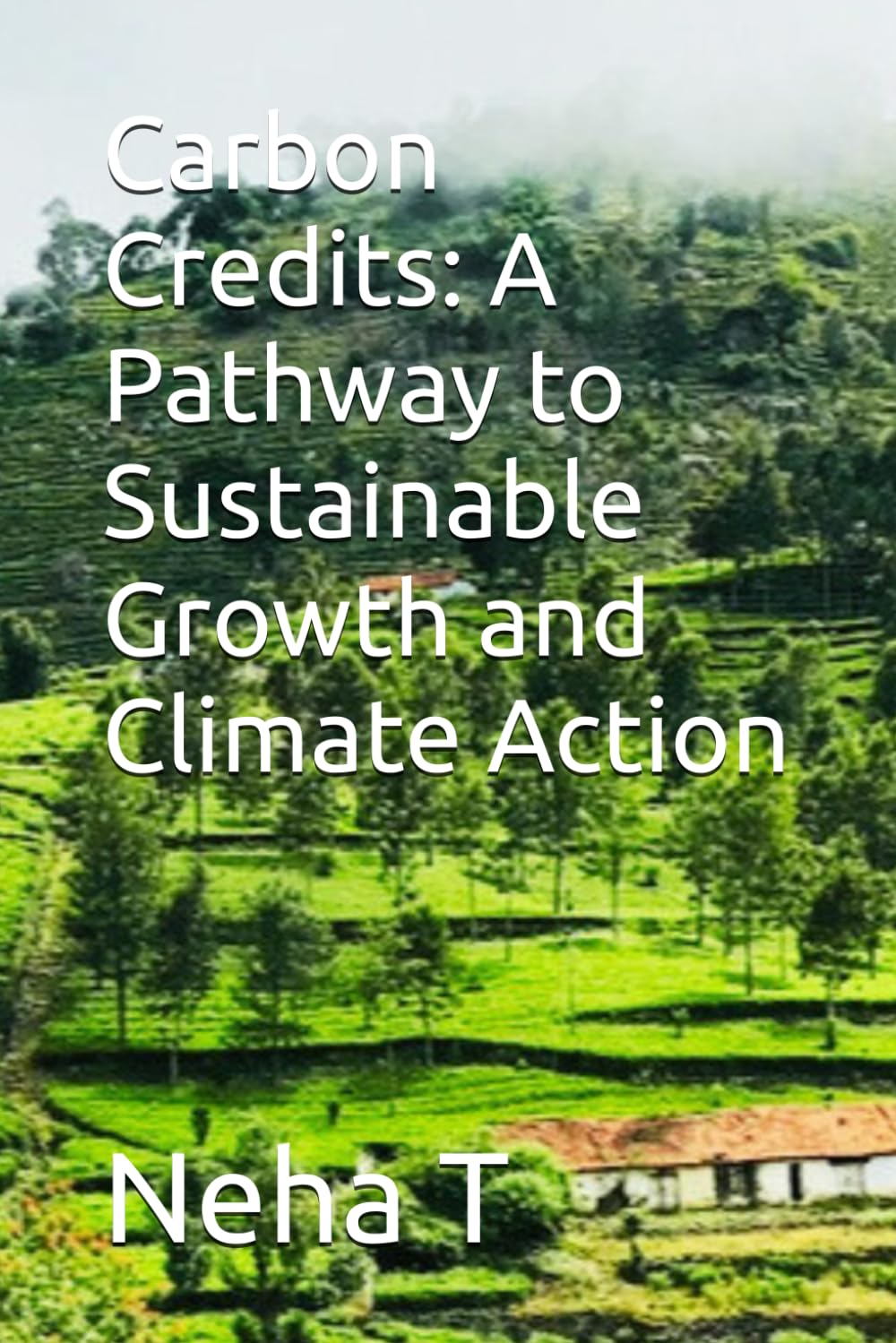 Carbon Credits: A Pathway to Sustainable Growth and Climate Action