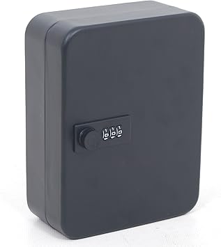 BIRD Cobination Key Cabinet, Wall Ounted 20 Key Cabinet Safe Storage