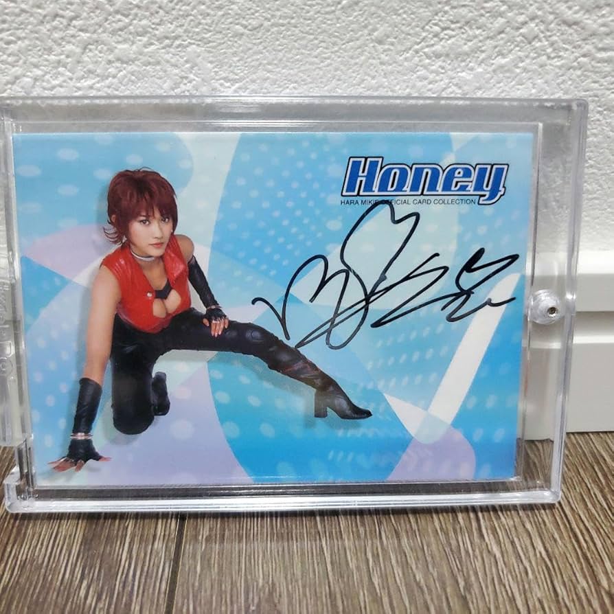 当選　さくら堂2008原幹恵Honey直筆サイン入りアンカットシート　トレカ 原幹恵 2008 さくら堂 トレカ 26 - メルカリ