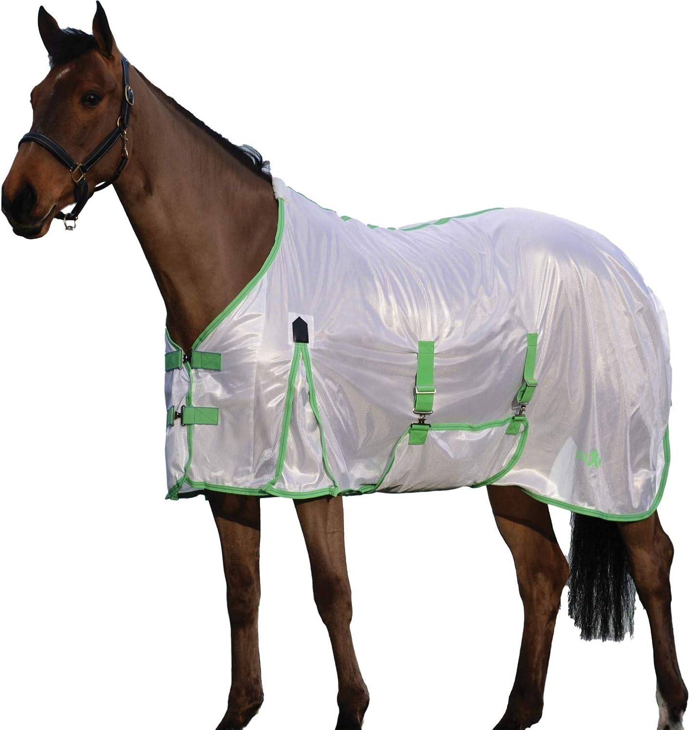 Buy Saxon Mesh Gusset Belly Wrap Fly Sheet Online in India. B07MZ97C5J