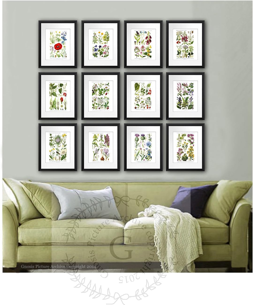 Gnosis Picture Archive English Wild Flowers Art Prints Set of 12 Unframed Prints Botanical Illustrations Home Decor