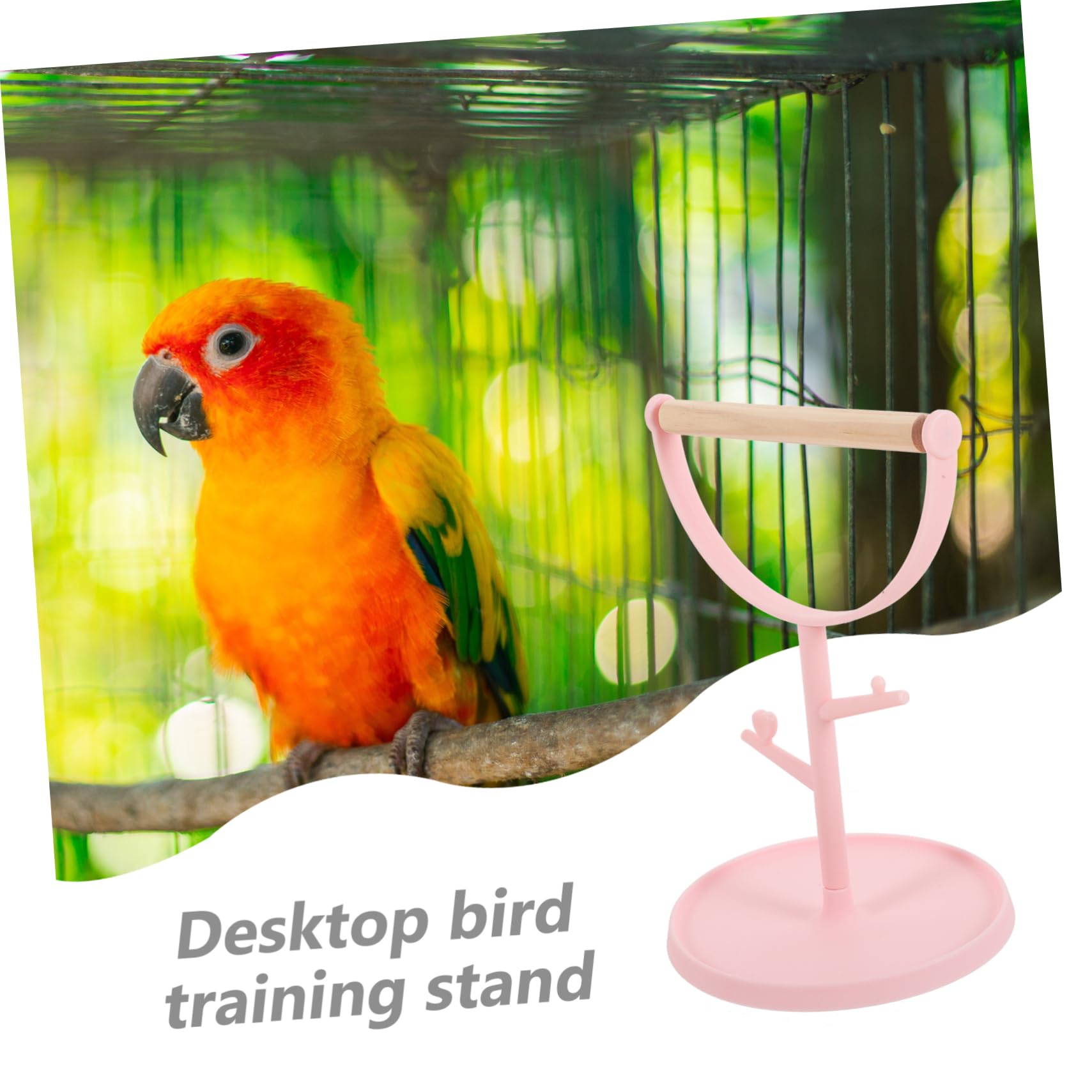 Amazon.co.jp: POPETPOP オウム 床 スタンド 小さな 鳥 おもちゃ