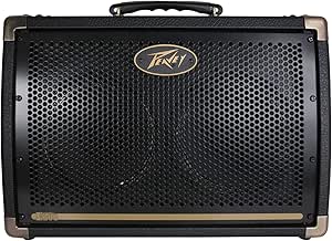Peavey Ecoustic E208 Acoustic Guitar Amplifier : Amazon.co.uk: Musical ...