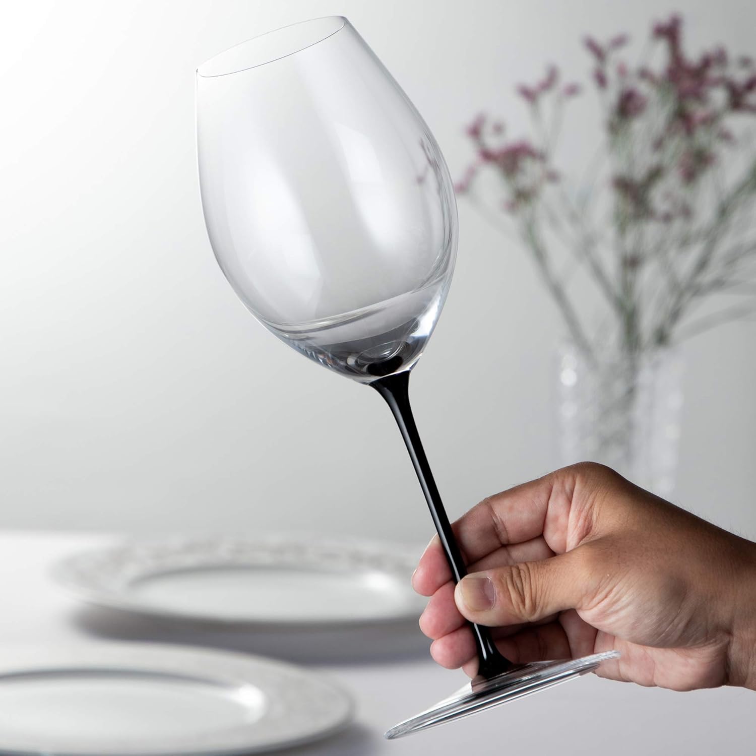 Riedel Sommeliers Black Tie Hermitage/Syrah Glass, Packed in a Gift Tube