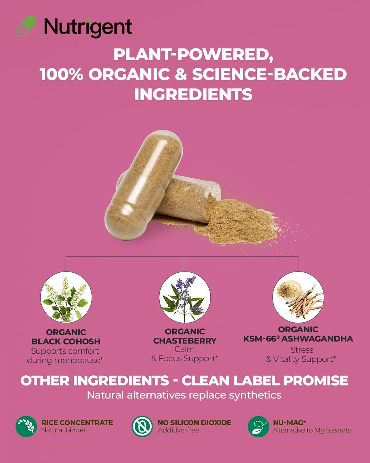 USDA Organic KSM-66 Ashwagandha, Vitex Berry & Black Cohosh, Menopause Support Supplement for Women, Natural Relief for Hot Flashes, Night Sweats & Mood Swings, Hormone-Free (60 CT) - Image 3