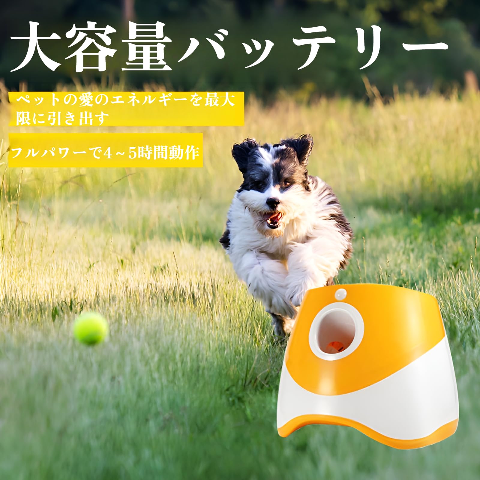 ボールランチャー　ボール3つ Amazon | [mocoly]自動ボールランチャー 犬 おもちゃ ボール 自動