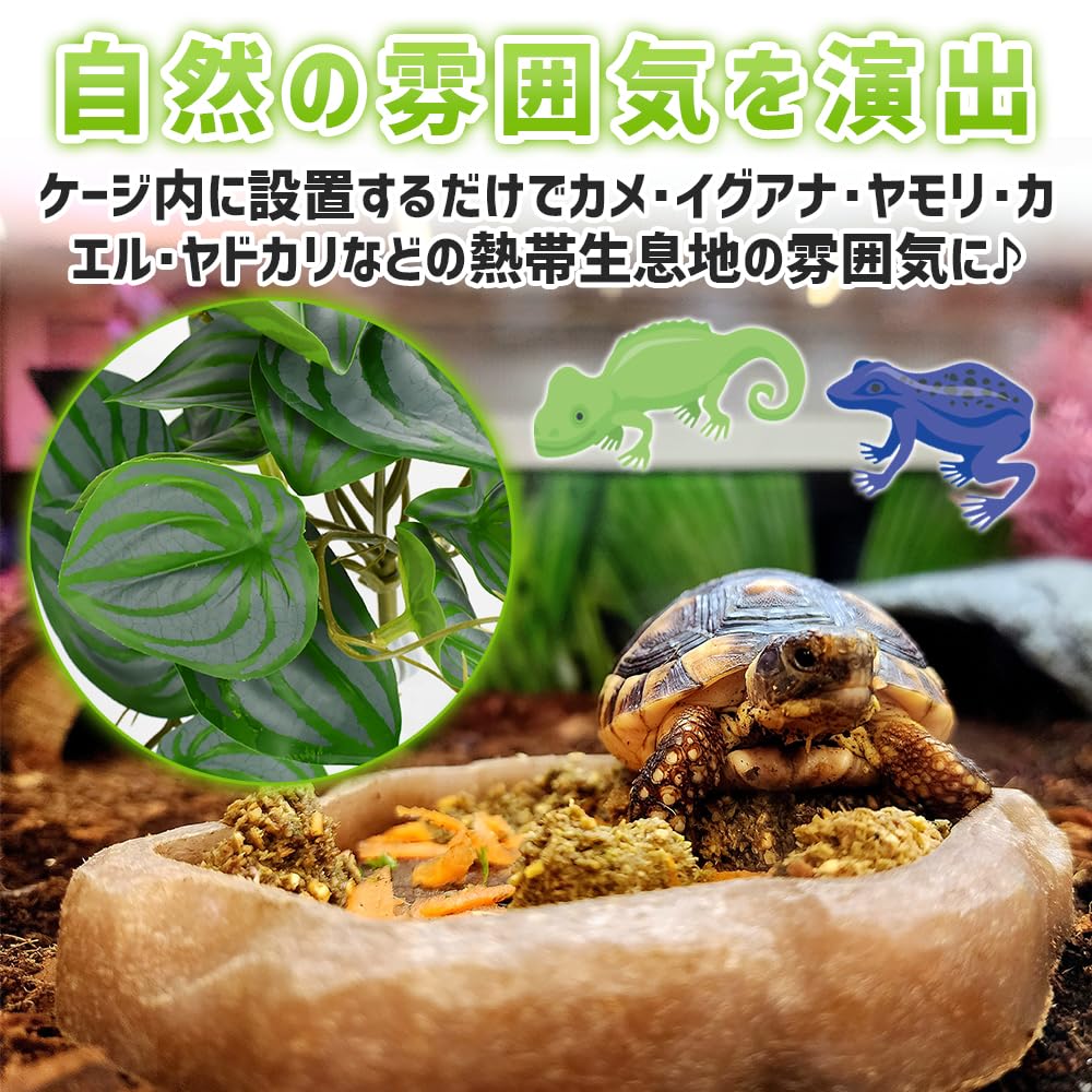 Amazon.co.jp: ノーブランド品 フェイクグリーン 爬虫類 両生類