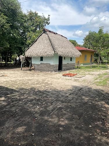 Miniatura 7 de Clay Tagine for Cooking Tajine Tajin Tayin Unglazed Diameter 8.5" Aprox Hight 8" 100% Handmade in Colombia
