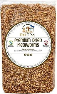Premium Dried Mealworms, 5L Bag