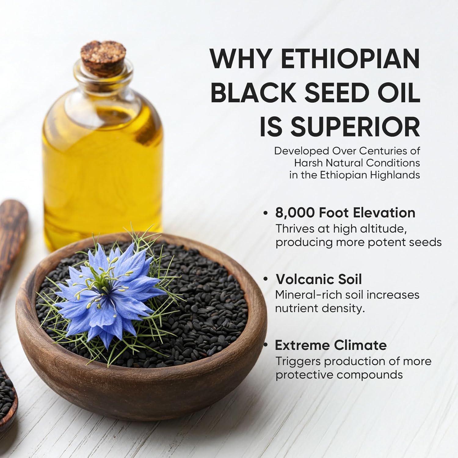Ethiopian Black Seed Oil Capsules 4.64% Thymoquinone – Purely Nutrient Organic Cold Pressed Black Cumin Seed Oil Softgels, Non-GMO, Gluten-Free, 60 Softgels
