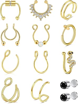 Anicina Fake Faux Nose Ring Fake Septum Nose Hoop Piercing Faux Fake Double Nose Ring Fake Earrings for Men Women Non Piercing
