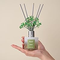 Vista 7 de Airkeep Juego de difusor de varillas – 3.38 onzas líquidas (3.4 fl oz), difusor de aroma de bambú para el hogar, incluye 8 varillas difusoras