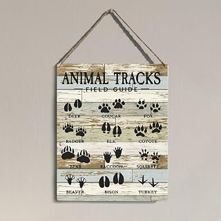 Rustic Cabin Classroom National Park Wall Decor Hunting Camping Forest Room Bedroom Mountain Wall Art Decor Animal Tracks Field Guide Wall Sign Gifts - Grain2