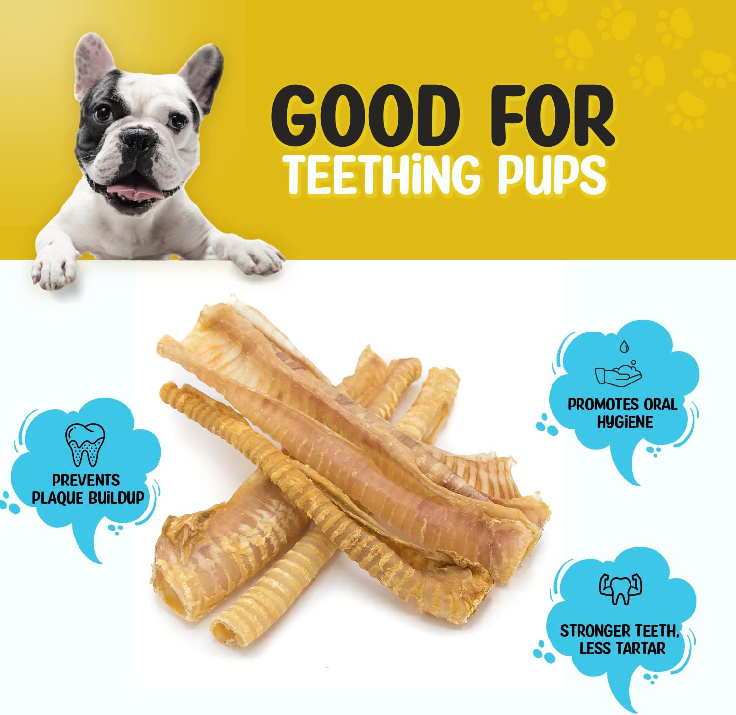 Raw Dog 6in 8pk Beef Trachea for Dogs, 100% Beef Trachea Chews, Grass Fed, Non-GMO, All-Natural Dog Treats, Premium Odor Free Trachea Dog Chews