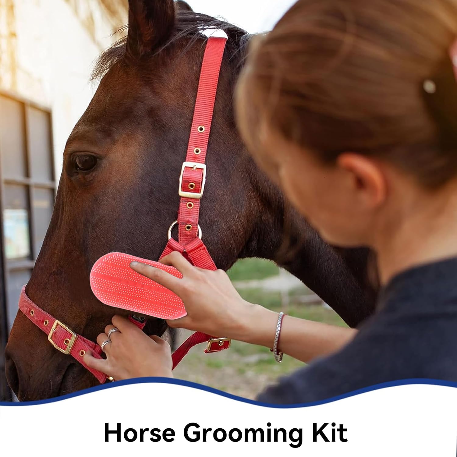 10 Pieces Horse Grooming Kit, Tack Room Supplies Set Horse Brush Set Horse Bathing Supplies for Horse Riders Beginners