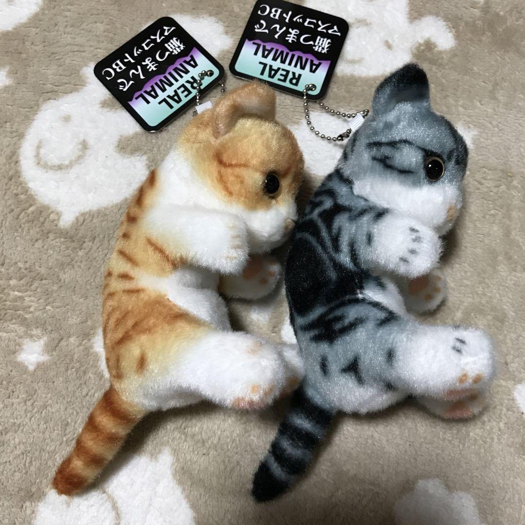 リアル猫 リアルアニマル猫つまんでマスコットBC 猫ぬいぐるみ　２個　セット Amazon.co.jp: 猫つまんでマスコットBC 2匹セット : ペット用品