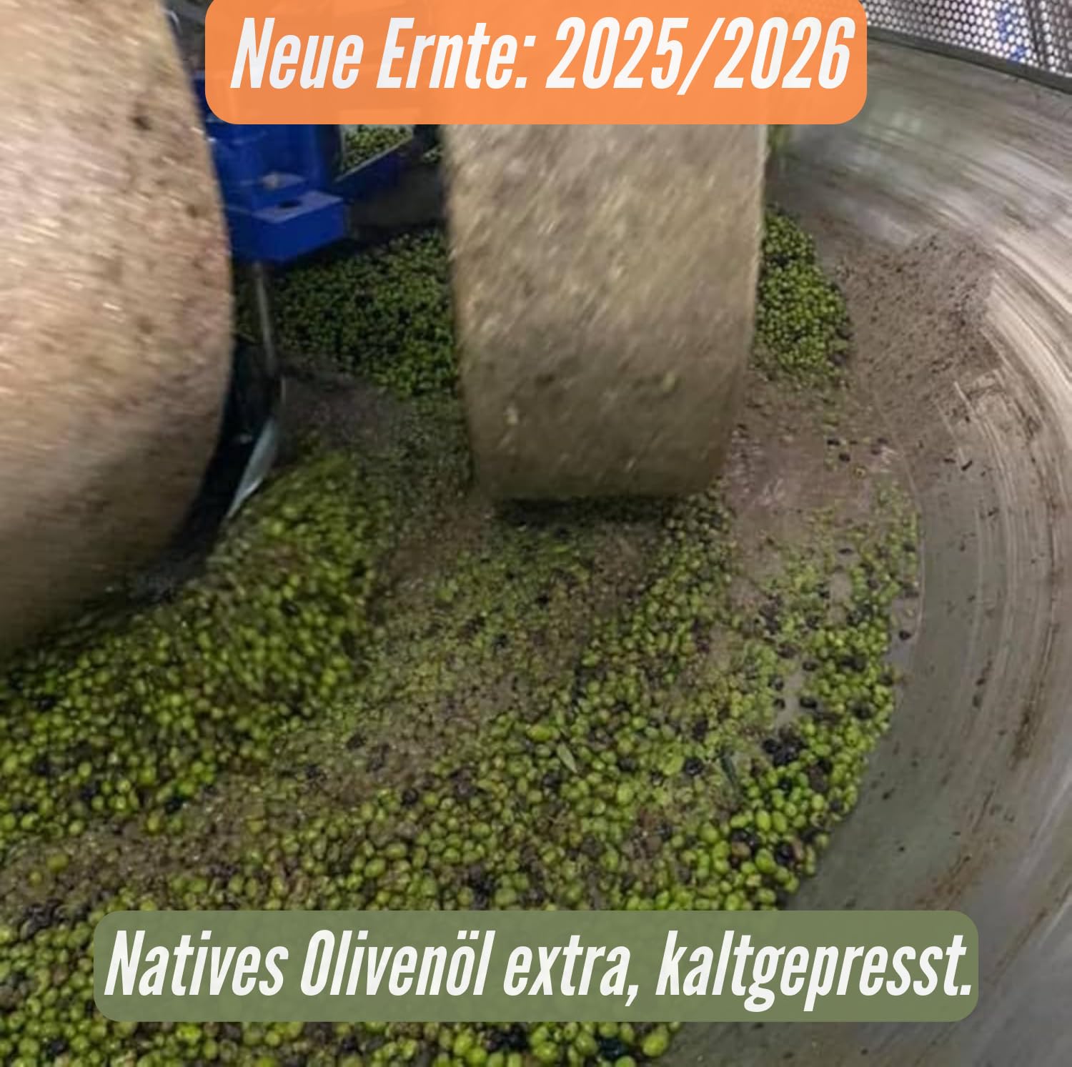 Olivenöl 5 Liter Extra Natives - Neue Ernte 2026 - Spanisches Olivenöl (Testsieger 2025) Kaltgepresst im 5L Kanister - Premium Qualität & Polyphenolreich