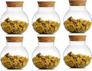 17oz Spherical Glass Jar with Cork Lid Airtight - Kitchen Glass Jar for Preserving and Storing candy, tea, Coffee, Spice, flour, Beans etc (6)