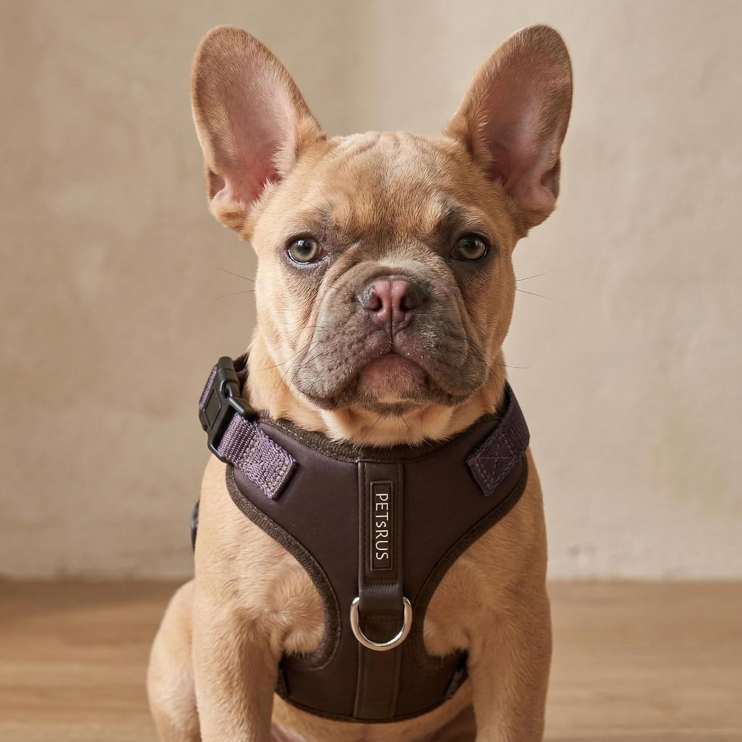 Premium No-Pull Dog Harness Soft Neoprene & Breathable Mesh Vest with Front & Back Clip D-Rings Adjustable Lightweight Walking Harness for Puppies, Small & Medium Dogs (Dark Chocolate Brown, XS)