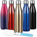 Sfee Insulated Water Bottle, 17oz Stainless Steel Water Bottles, Double Wall Vacuum Reusable Water Bottles Leak Proof BPA-Free Sports Bottle Cup Keep Hot&Cold for Running Gym Workout Cycling Kids