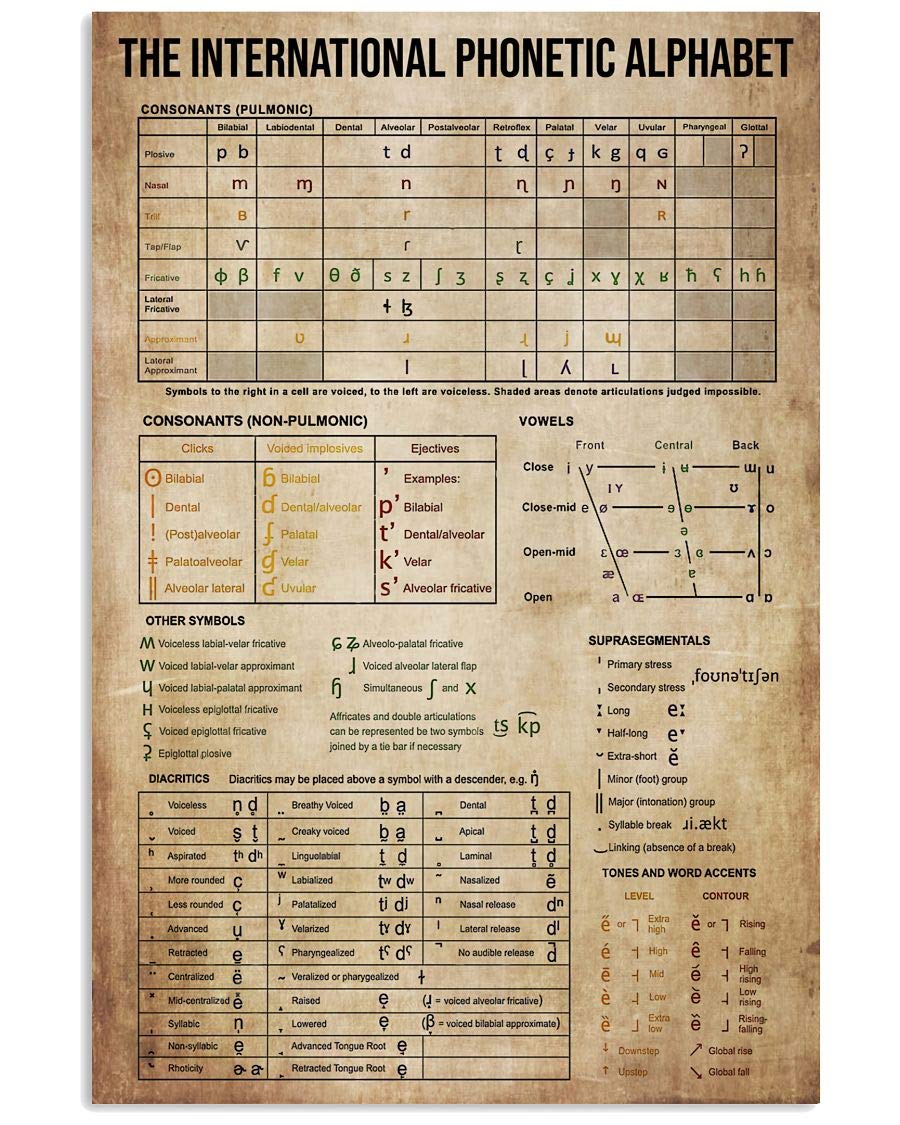 rayprint Language Pronunciation Knowledge Metal Sign Vintage Classroom Decor The International Phonetic Alphabet Tin Poster Home Club Office Wall Decoration Plaque 12x16 Inches
