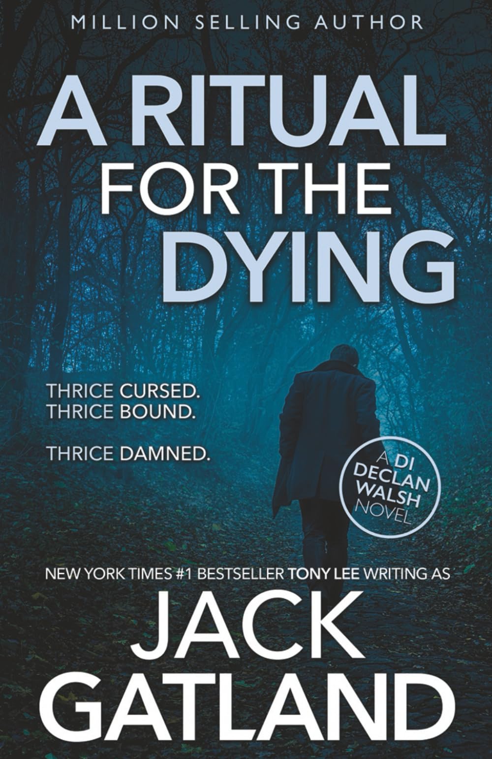 A Ritual For the Dying: (Detective Inspector Declan Walsh Crime Series Book 6)