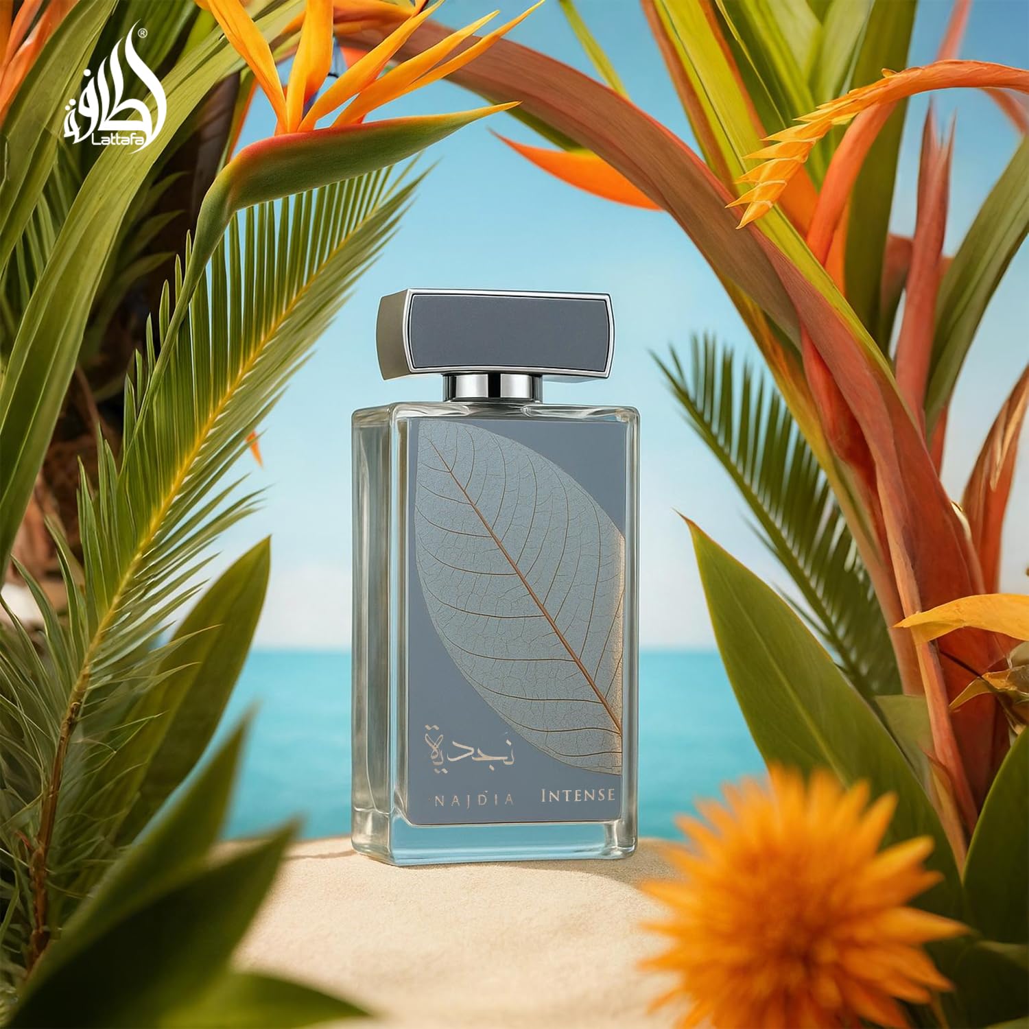 Amazon.com : Lattafa Najdia Intense – Fresh, Marine, Woody – Eau