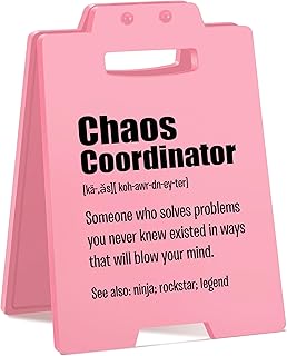 Chaos Coordinator Gifts for Work Anniversary – Funny Pink Desk Decor f...