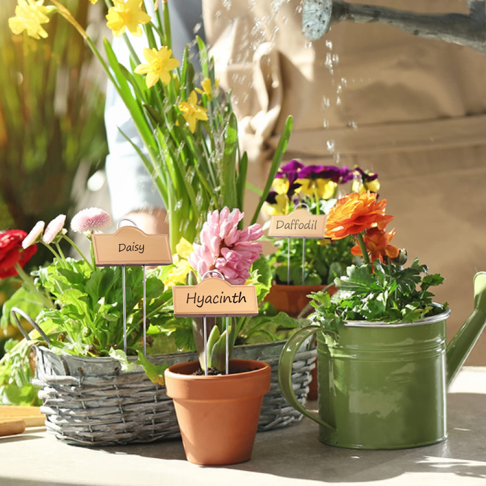 Lot de 25 étiquettes de plantes en métal résistant aux intempéries SS304 en acier inoxydable pour plantes, légumes, herbes, semis, fleurs avec un stylo, hauteur 27 cm, zone d'étiquette 9 x 3,5 cm