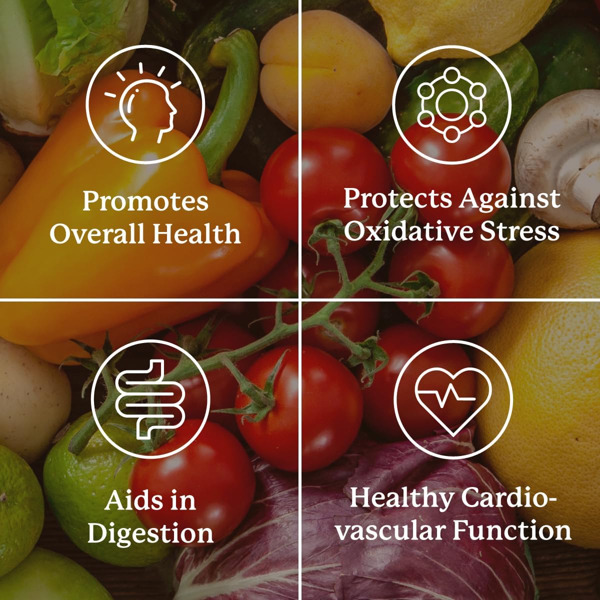 Nature's Sunshine Super Supplemental w/o Iron: Complete Multivitamin with Minerals, Antioxidants & More for Overall Health, Immune & Energy Support. 120 Tabs