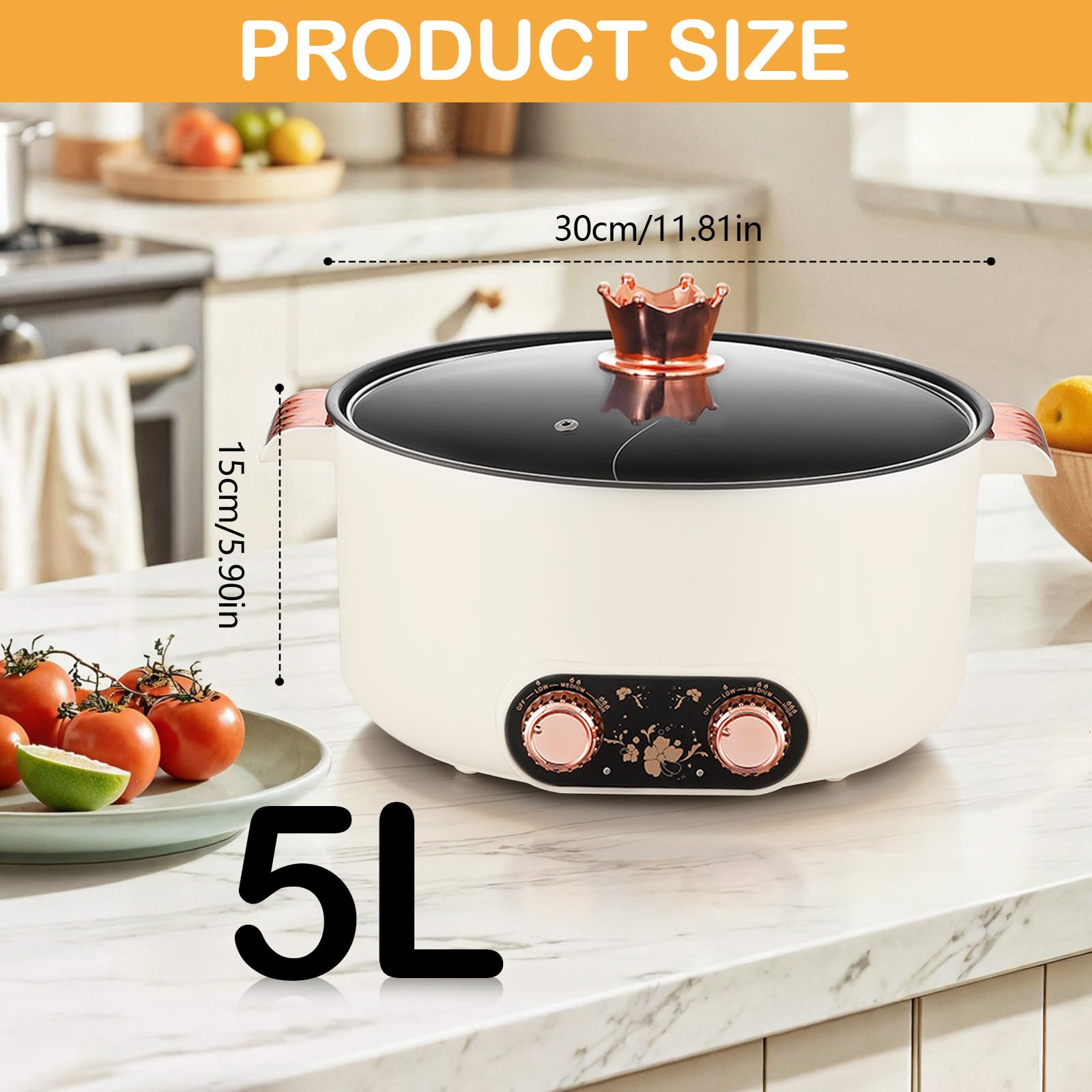 Appareil a Fondue, Fondue Chinoise 5 L à avec Compartiments Rechaud Electrique Pot 1 350 W avec 3 Réglages de Puissance pour Cuire des Fondues Préparer des Soupes Faire Bouillir des Nouilles