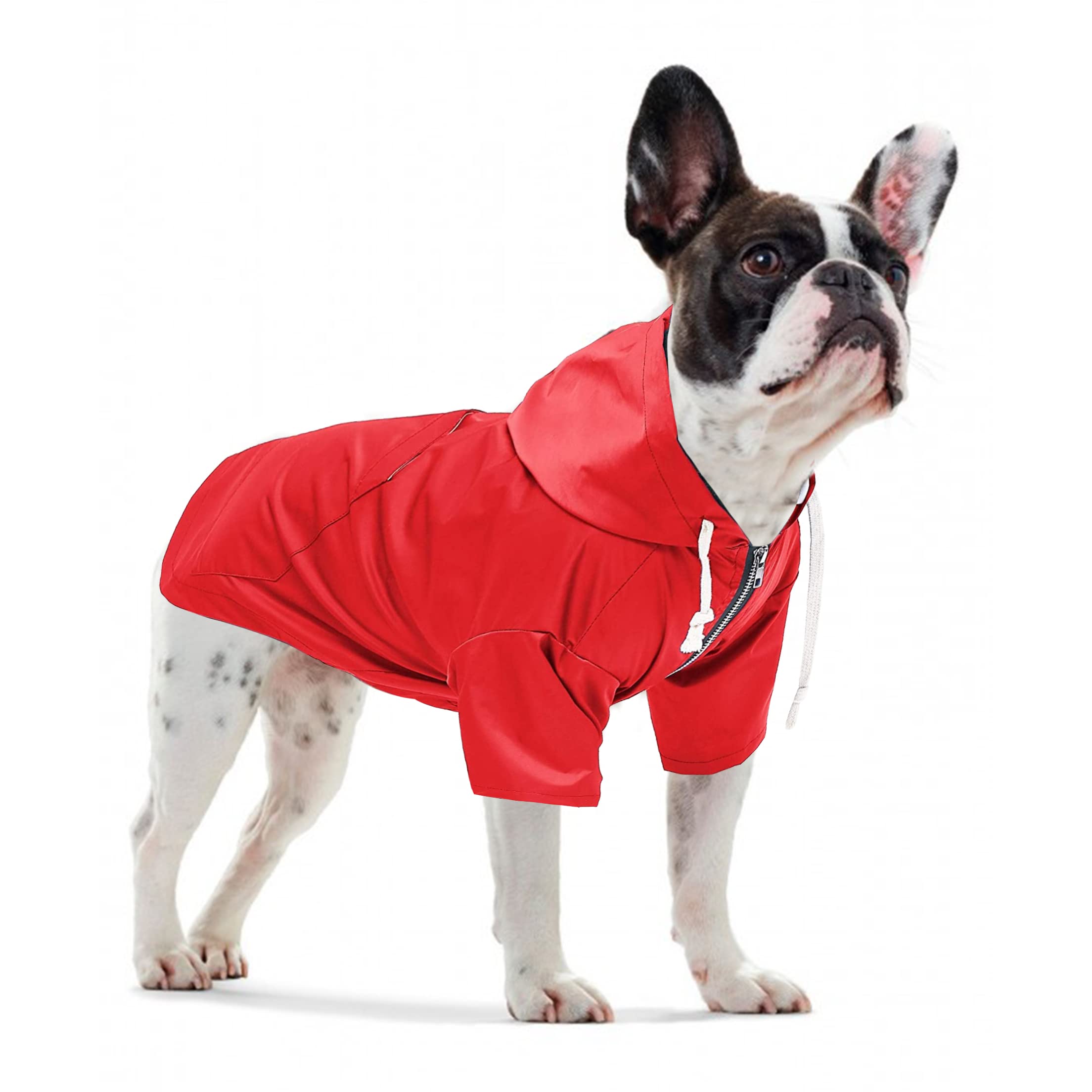Pethiy - Elegante Chubasquero para perros – Impermeable para perro pequeños y medianos con sombrero y cremallera ,con botones reflectantes, bolsillos, resistente a la lluvia y al agua-Rojo-S