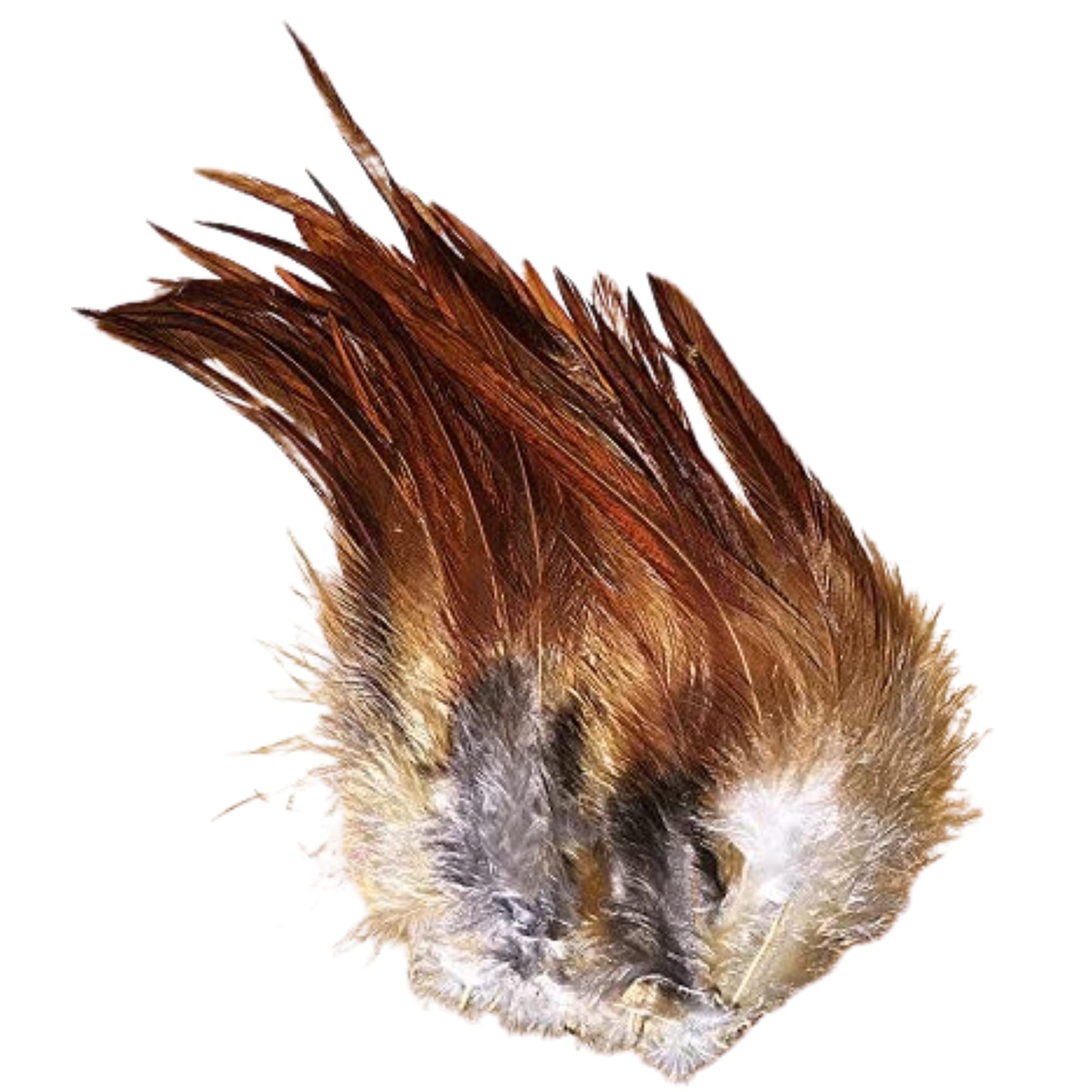 Creative Angler Saddle Hackle Fly Tying Materials - Natural Feathers for Wet Flies, Rooster Feathers, Hair Feathers for Crafts, Fly Tying Kit - Small Feathers Combo Pack of Steelhead Colored Feathers