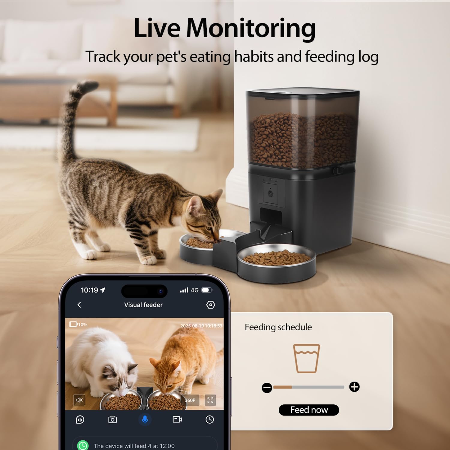 Nobleza Comedero Gato Automático 6L con Cámara 1080P 120°: App Control, WiFi 5G/2.4G, Audio Bidireccional, Llamadas Mascotas, Detección Movimiento + Sello Hermético ¡Control Remoto Total!
