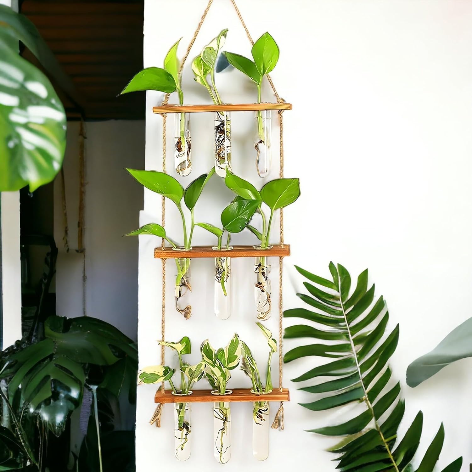ecofynd 3Tier Wall Hanging Test Tube Planter with Wooden Holder, Air